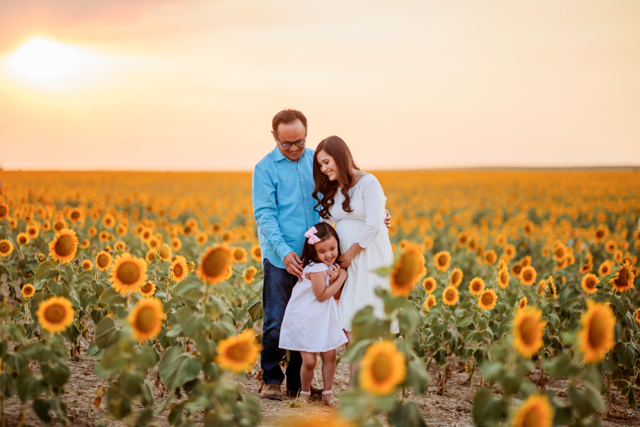 A family of 3 walking in sunflower fields at sunset in Denver