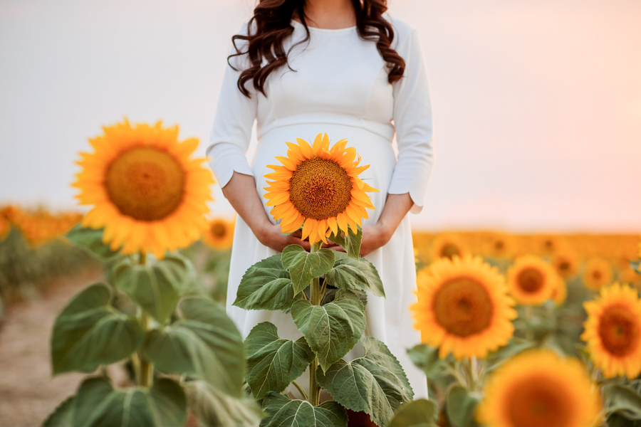 A close up shot of a woman holding her belly in sunflower fields at sunset in Denver
