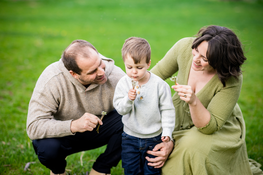 family of 3 with one toddler blowing dandelions at a park